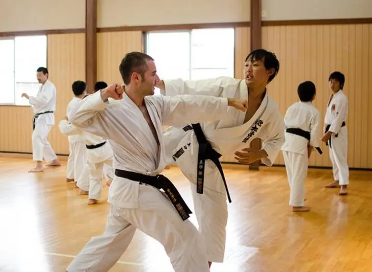 บทบาทของโรงเรียนและชมรมมหาวิทยาลัยต่อการพัฒนาเทควันโดญี่ปุ่น
