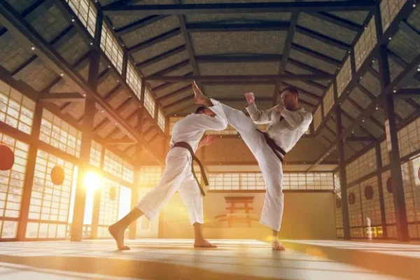 เทควันโดญี่ปุ่นกับอิทธิพลของคาราเต้และศิลปะป้องกันตัวดั้งเดิม